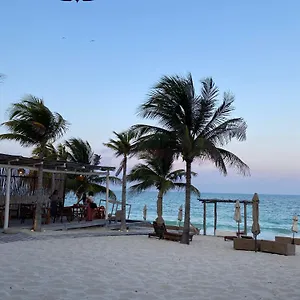 punta-blanca-eco-luxury-beach-house.quintano-roohotels.com/